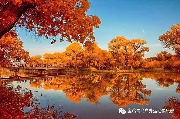 雷竞技比分