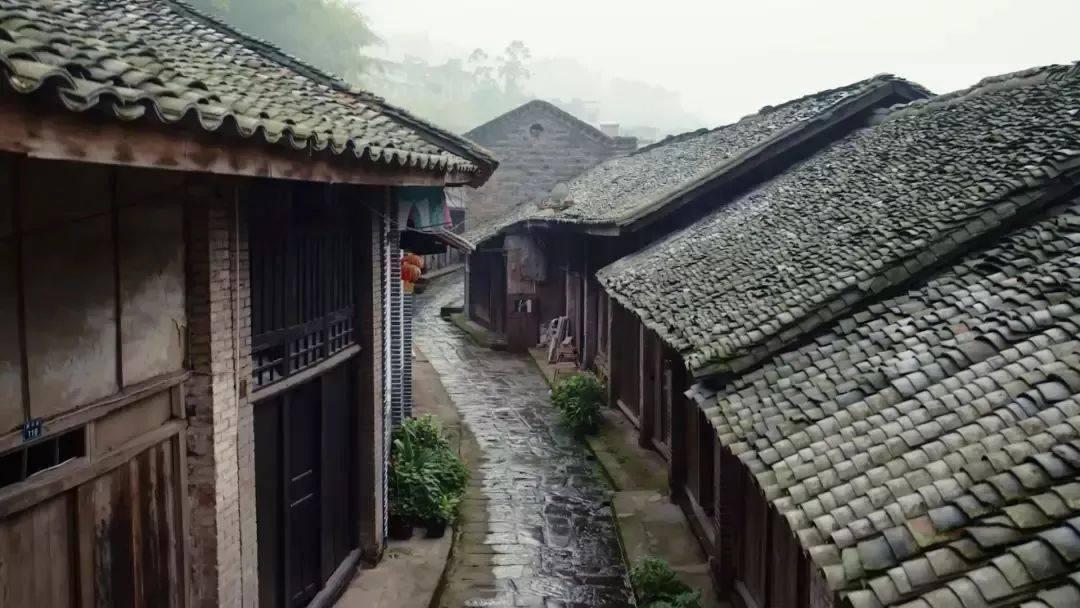 雷竞技比分